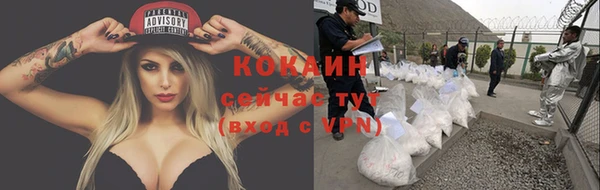 винт Елизово