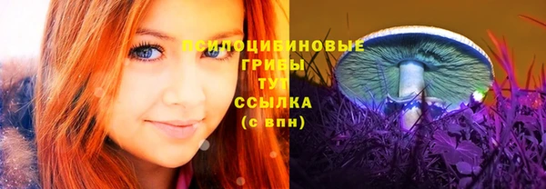 мдма Ельня