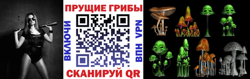площадка состав  Сысерть  Галлюциногенные грибы мухоморы 